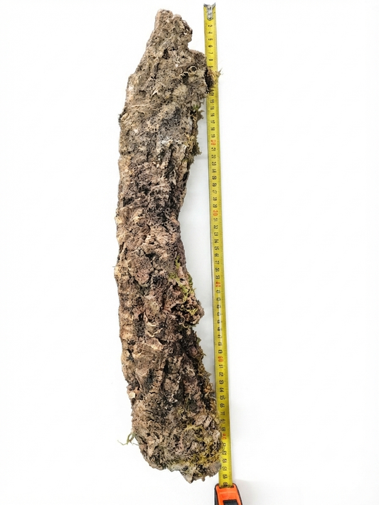 Tuba korkowa do terrarium ok. 56cm średnica otworu ok 6cm