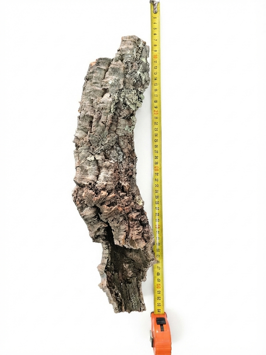 Tuba korkowa do terrarium ok. 42cm średnica otworu ok 6-7cm