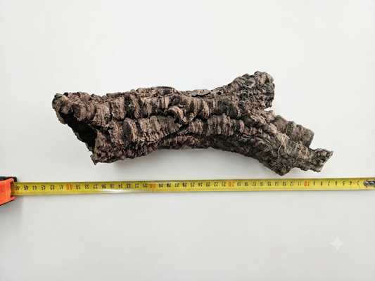 Tuba korkowa do terrarium ok. 28cm średnica otworu ok 3-4cm