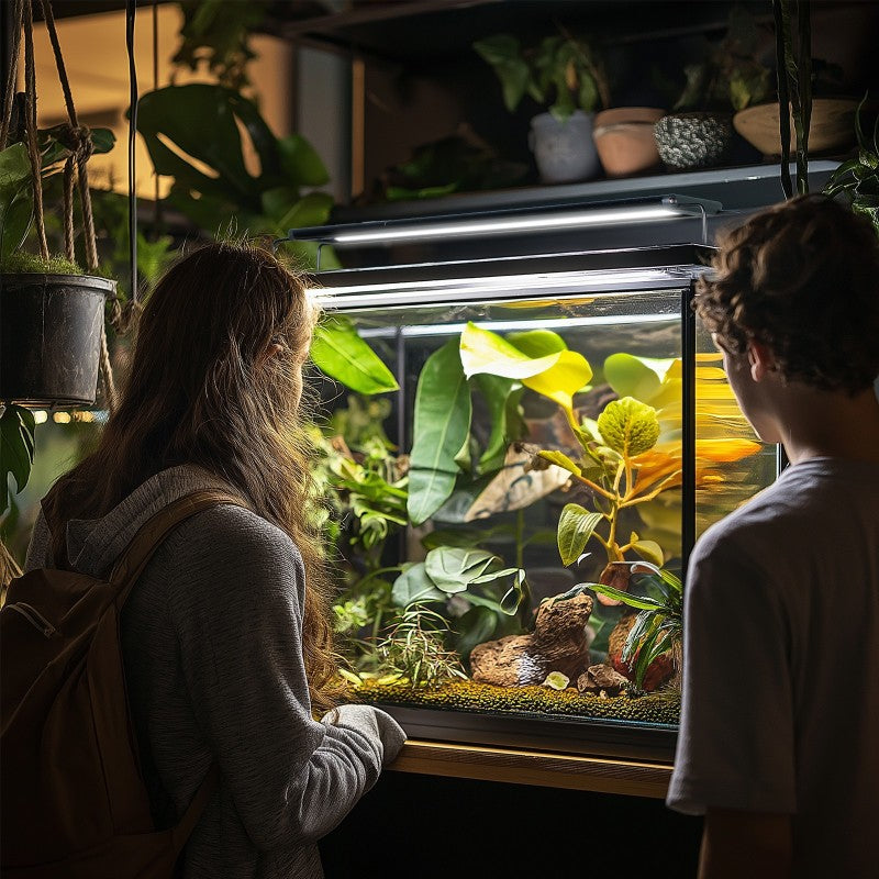 TERRARIO ReptoRay 15W Lampa LED do Terrarium 60cm Timer Programator