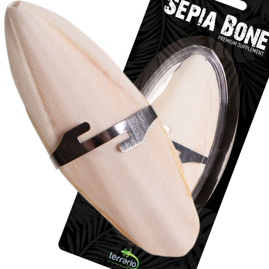 TERRARIO Sepia Bone Całość z Uchwytem Naturalne Wapno 12cm