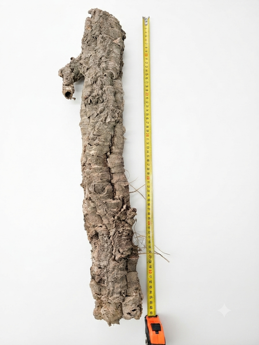 Tuba korkowa do terrarium ok. 65cm średnica otworu ok 5cm