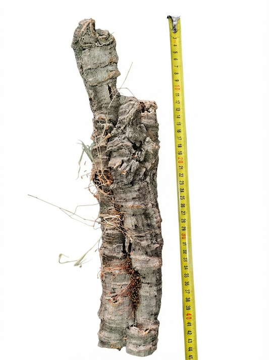 Tuba korkowa do terrarium ok. 35cm średnica otworu ok 3cm