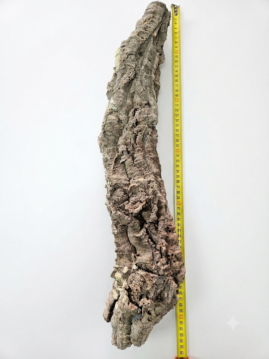 Tuba korkowa do terrarium ok. 57cm średnica otworu ok 4-6cm
