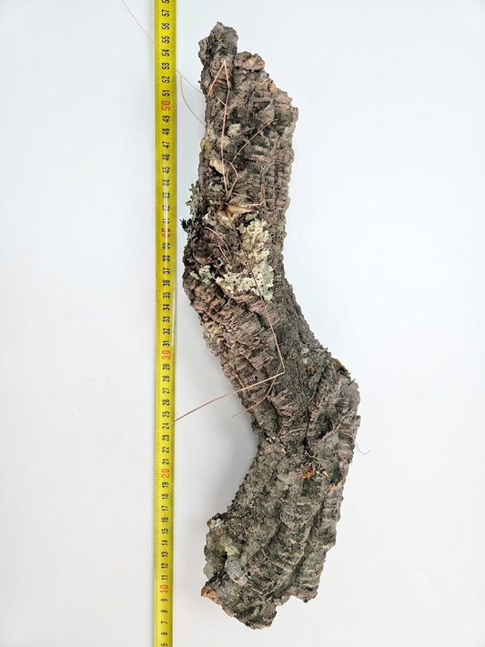 Tuba korkowa do terrarium ok. 42cm średnica otworu ok 4cm
