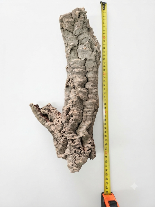 Tuba korkowa do terrarium ok. 32cm średnica otworu ok 5-6cm