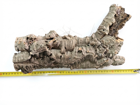 Tuba korkowa do terrarium ok. 36cm średnica otworu ok 6cm