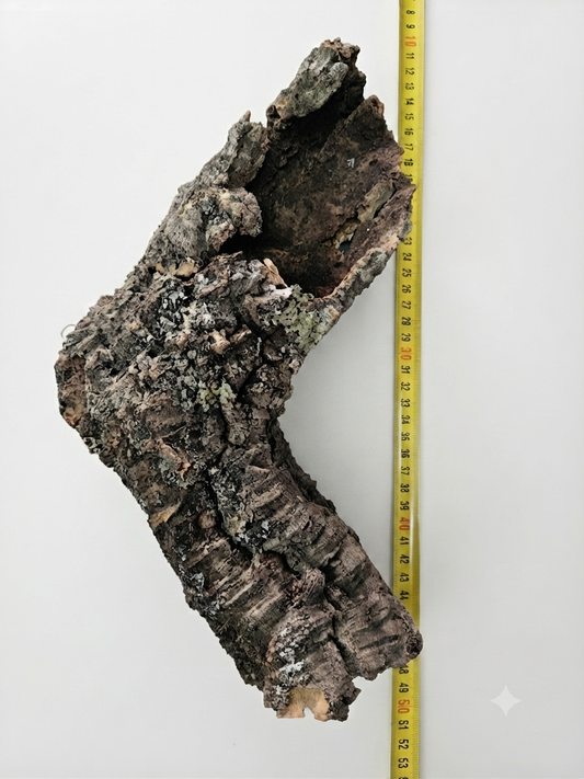 Tuba korkowa do terrarium ok. 35cm średnica otworu ok 5-6cm