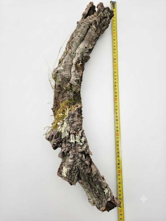 Tuba korkowa do terrarium ok. 55cm średnica otworu ok 3-4cm