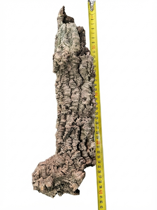 Tuba korkowa do terrarium ok. 35cm średnica otworu ok 6cm