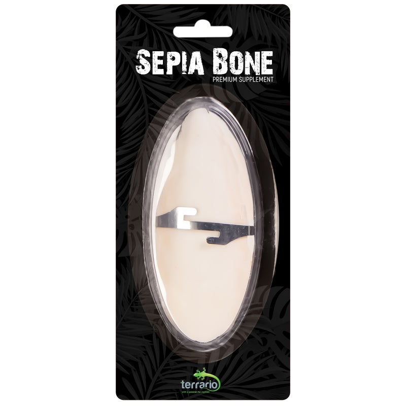 TERRARIO Sepia Bone Całość z Uchwytem Naturalne Wapno 12cm