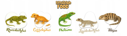BioGecko Food Banan + Mango 30g - pokarm (papka) dla gekonów
