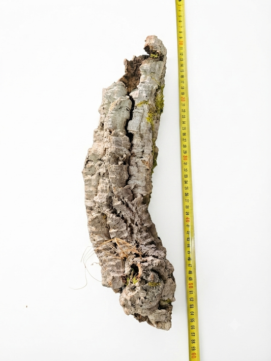 Tuba korkowa do terrarium ok. 41cm średnica otworu ok 6cm