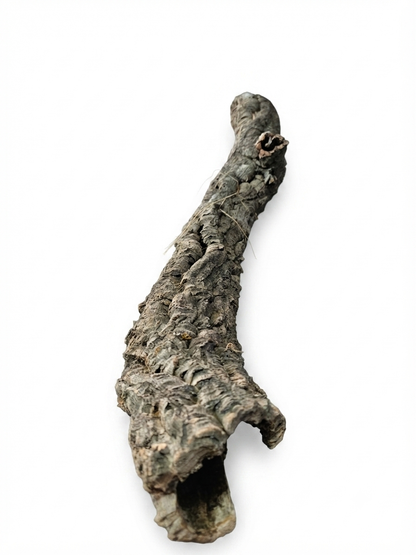 Tuba korkowa do terrarium ok. 67cm średnica otworu ok 6cm