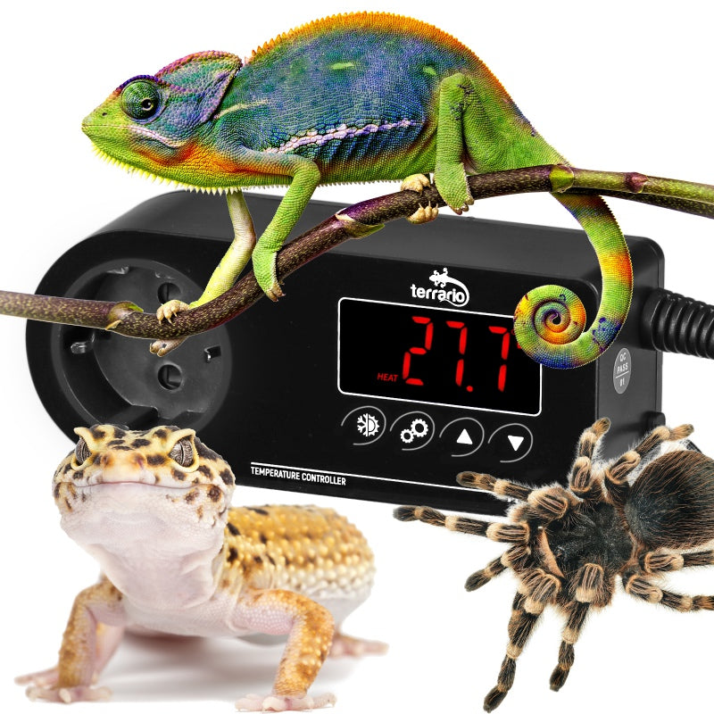 TERRARIO Myriaton Termostat Elektroniczny LCD do Terrarium Sonda Wodoodporna