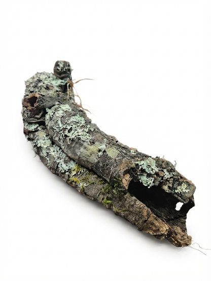 Tuba korkowa do terrarium ok. 43cm średnica otworu ok 3cm