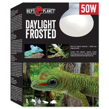 REPTI PLANET Daylight Frosted żarówka grzewcza dzienna mleczna Spot 50W do terrarium