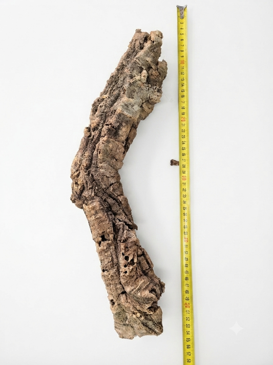 Tuba korkowa do terrarium ok. 45cm średnica otworu ok 4cm