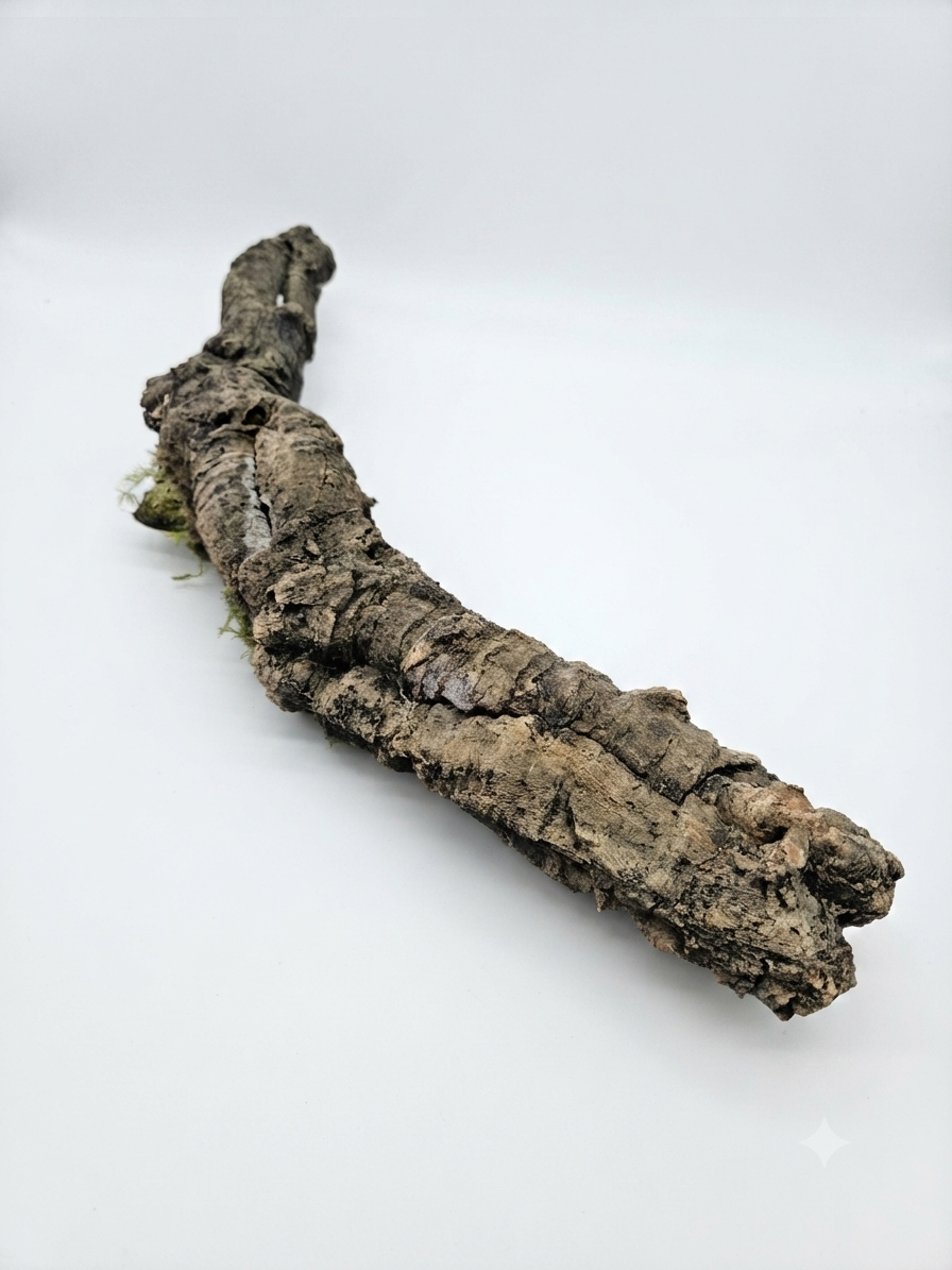 Tuba korkowa do terrarium ok. 55cm średnica otworu ok 3-4cm