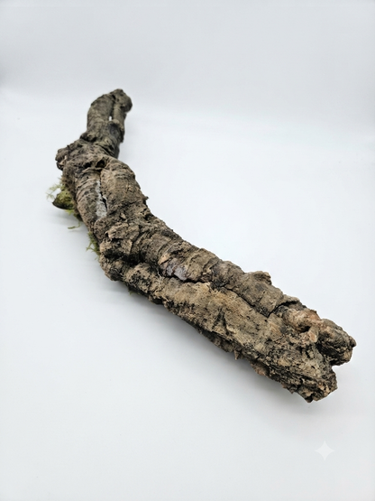 Tuba korkowa do terrarium ok. 55cm średnica otworu ok 3-4cm