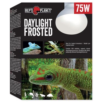 REPTI PLANET Daylight Frosted żarówka grzewcza dzienna mleczna Spot 75W do terrarium