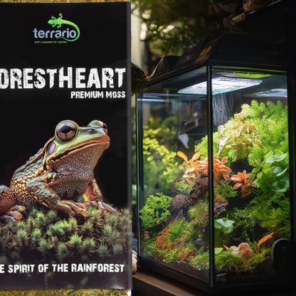 TERRARIO ForestHeart Sphagnum Moss Mech Torfowiec 100g do Terrarium
