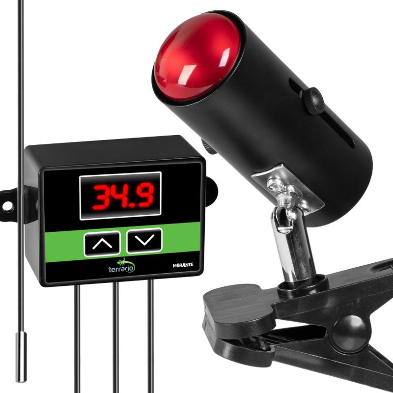 TERRARIO ReptiSun Temperature Control Lampa z Termostatem Sonda E27 Klips