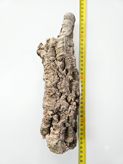 Tuba korkowa do terrarium ok. 26cm średnica otworu ok 5cm