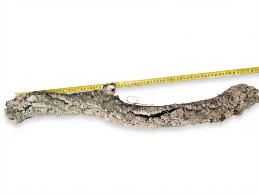 Tuba korkowa do terrarium ok. 67cm średnica otworu ok 6cm