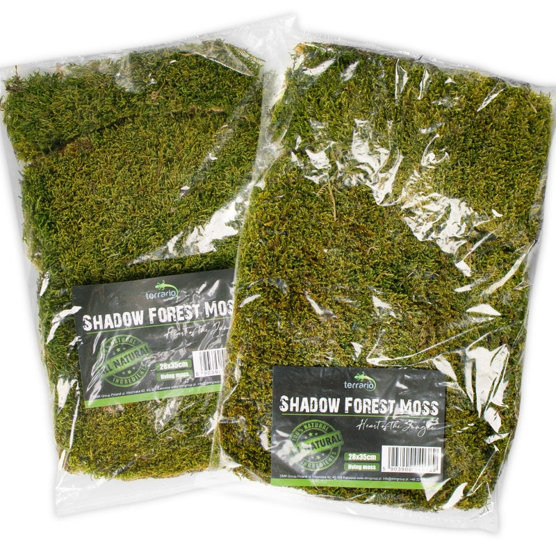 TERRARIO Shadow Forest Moss Żywy Mech Naturalny Płat 35x28cm