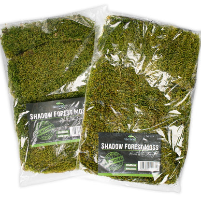 TERRARIO Shadow Forest Moss Żywy Mech Naturalny Płat 35x28cm