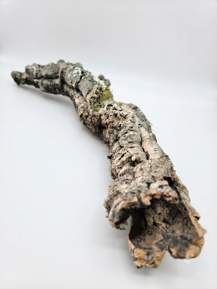 Tuba korkowa do terrarium ok. 55cm średnica otworu ok 3-4cm