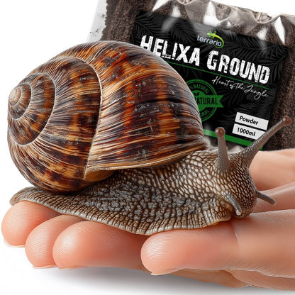 TERRARIO Helixa Ground 1L Podłoże dla Ślimaków Lądowych Achatina
