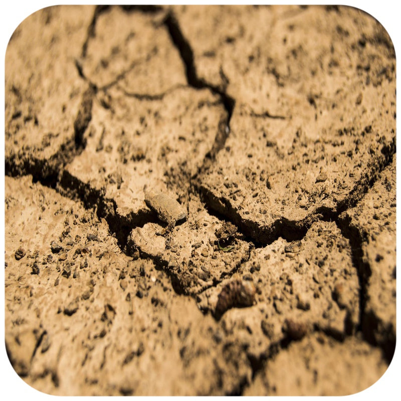 TERRARIO Monument Mud 1kg Podłoże z Gliną do Kopania Nor i Tuneli