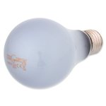 REPTI PLANET Daylight Neodymium - Neodymowa żarówka grzewcza dzienna 100W