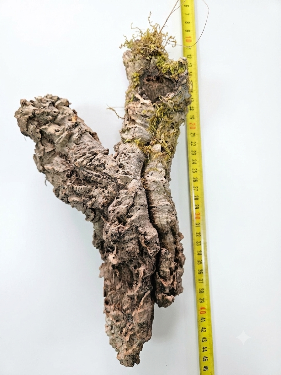 Tuba korkowa do terrarium ok. 31cm średnica otworu ok 3-5cm
