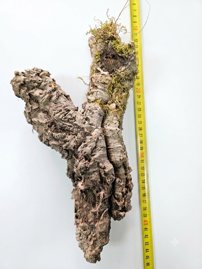 Tuba korkowa do terrarium ok. 31cm średnica otworu ok 3-5cm