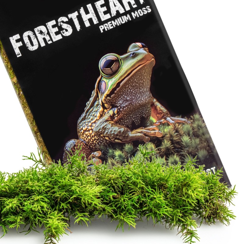 TERRARIO ForestHeart Sphagnum Moss Mech Torfowiec 100g do Terrarium