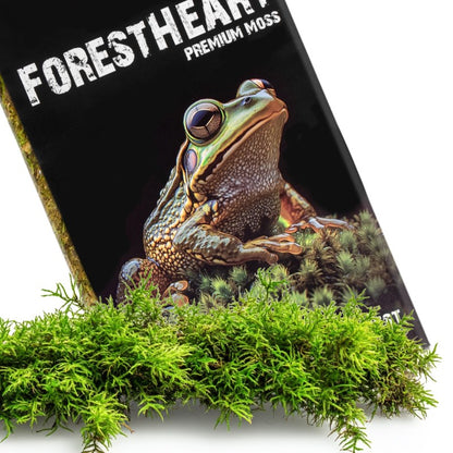 TERRARIO ForestHeart Sphagnum Moss Mech Torfowiec 100g do Terrarium