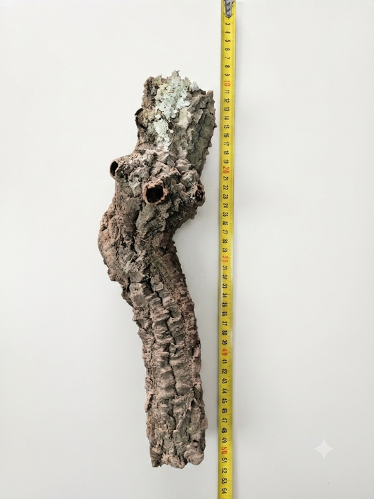 Tuba korkowa do terrarium ok. 38cm średnica otworu ok 4cm