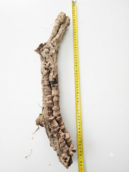 Tuba korkowa do terrarium ok. 50cm średnica otworu ok 2-3cm