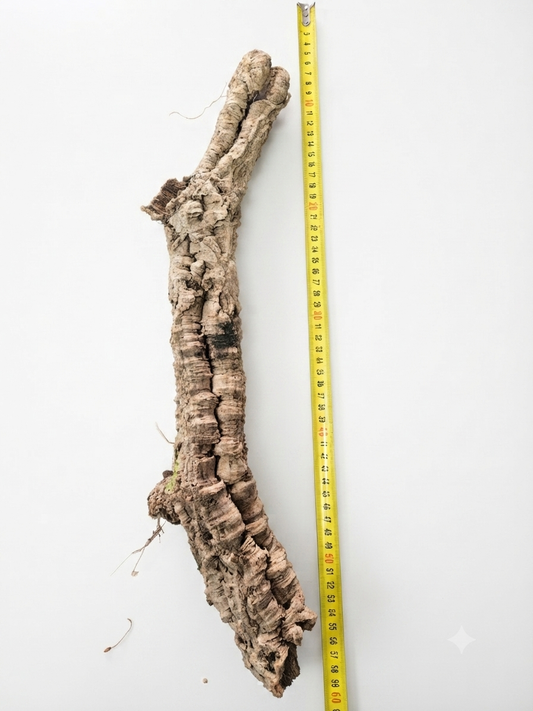 Tuba korkowa do terrarium ok. 50cm średnica otworu ok 2-3cm