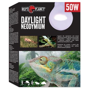 REPTI PLANET Daylight Neodymium - Neodymowa żarówka grzewcza dzienna 50W