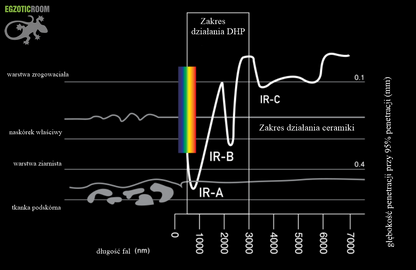 ARCADIA Deep Heat Projector 50W Projektor Ciepła DHP Podczerwień E27
