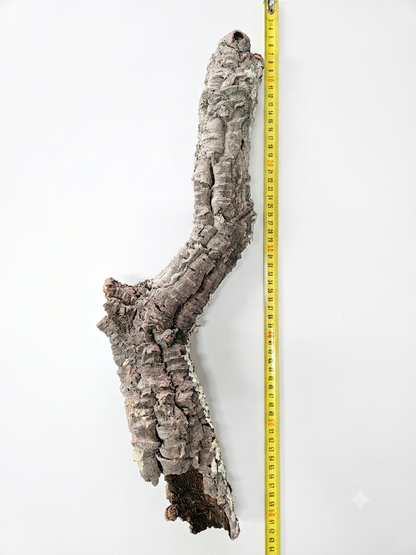 Tuba korkowa do terrarium ok. 57cm średnica otworu ok 4-5cm