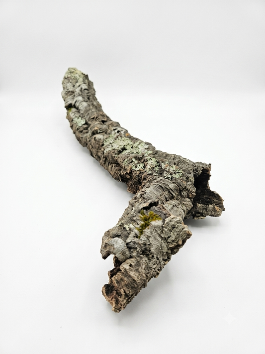 Tuba korkowa do terrarium ok. 60cm średnica otworu ok 3-4cm