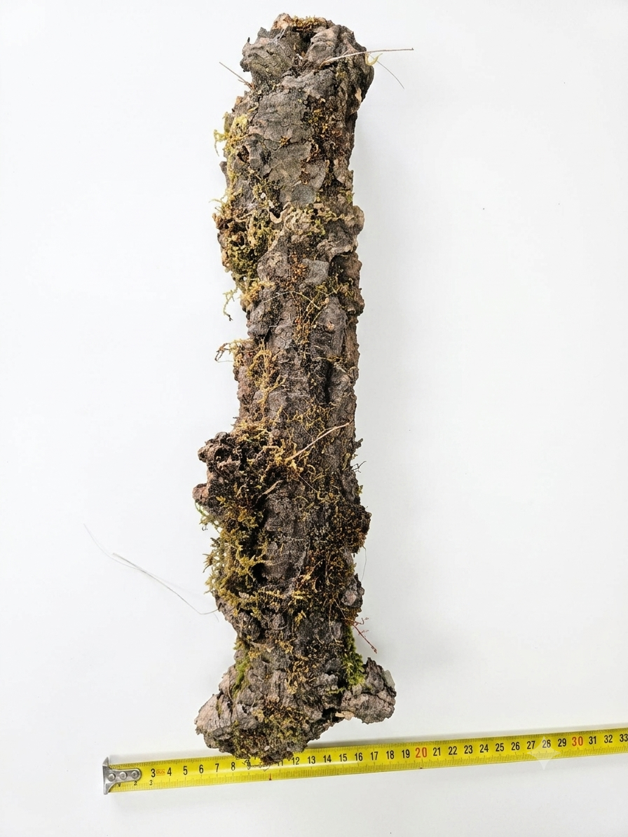 Tuba korkowa do terrarium ok. 44cm średnica otworu ok 4cm