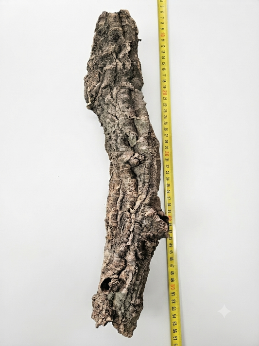 Tuba korkowa do terrarium ok. 42cm średnica otworu ok 3-6cm