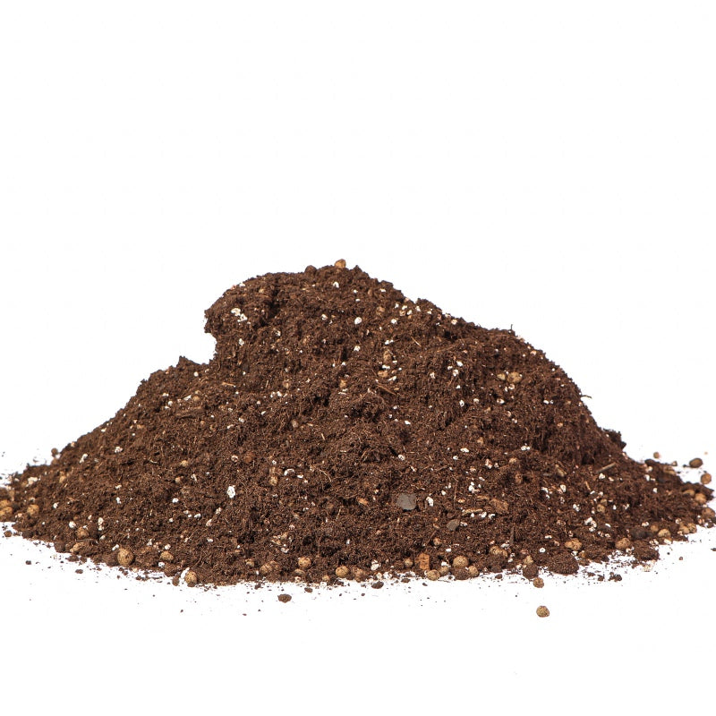TERRARIO Supai Oya Soil Podłoże Ziemia dla Żółwi 6L 5kg