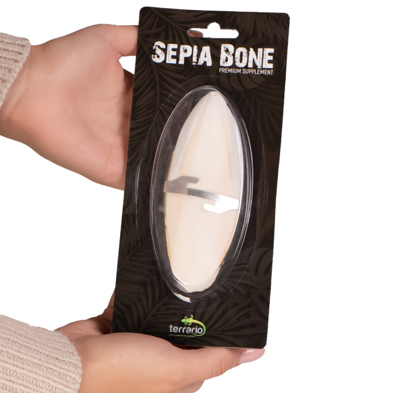 TERRARIO Sepia Bone Całość z Uchwytem Naturalne Wapno 12cm